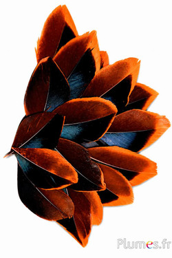 Blütenblätter aus Federn - 5-8 x 3-4 cm - orange-schwarz